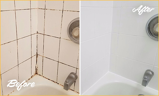 Before and After Picture of a Port Washington Shower Tile and Grout Cleaned to Eliminate Mold