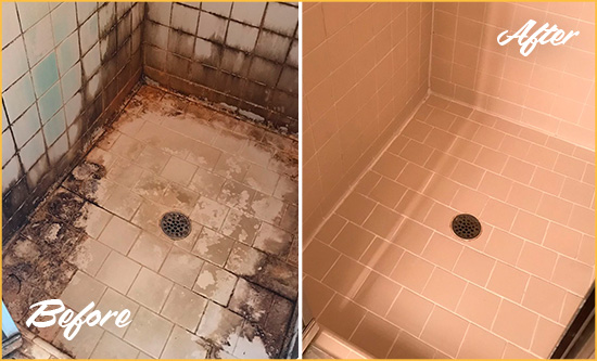 Before and After Picture of a Bethpage Shower Tile and Grout Cleaned to Repair Water Damage