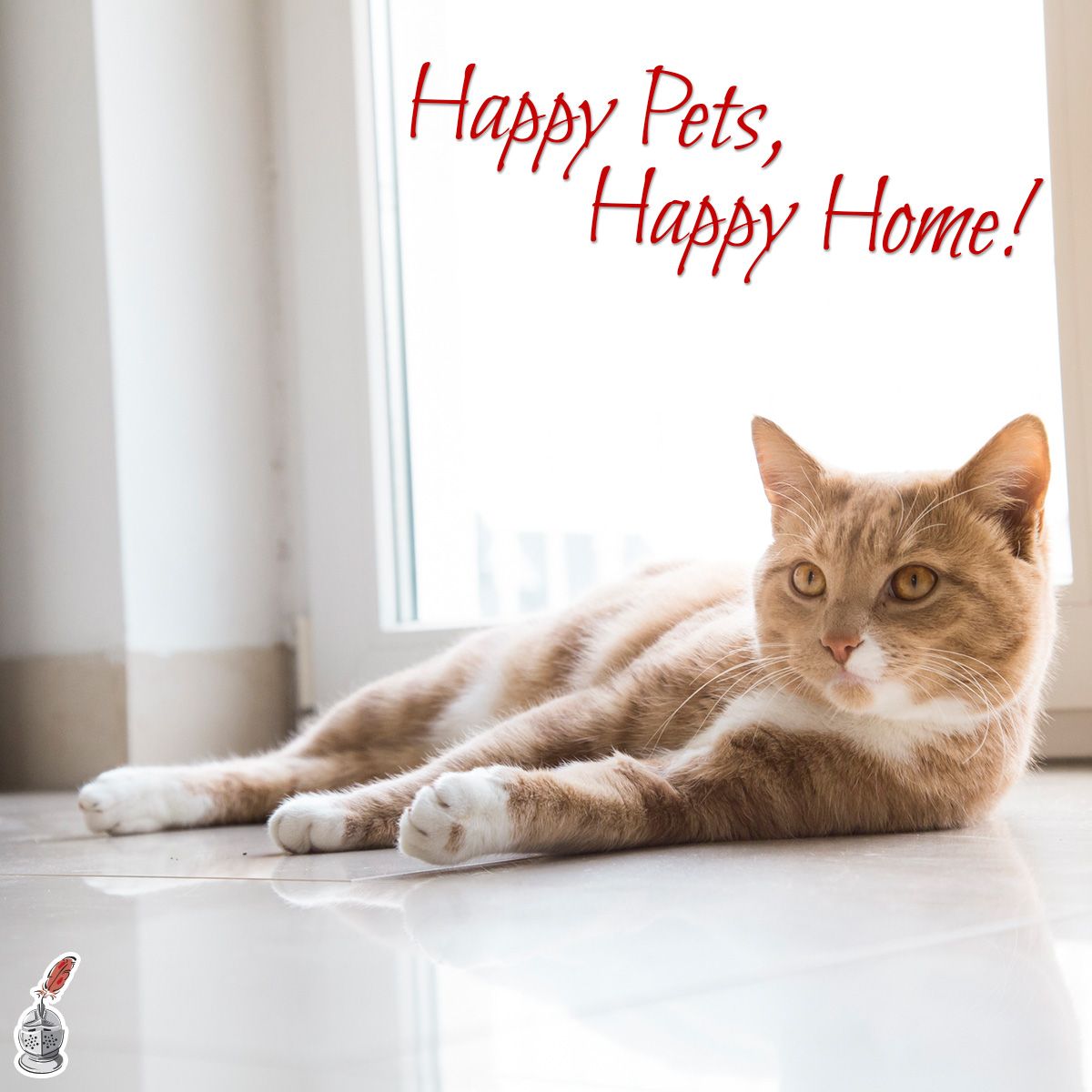 Happy Pets, Happy Home!