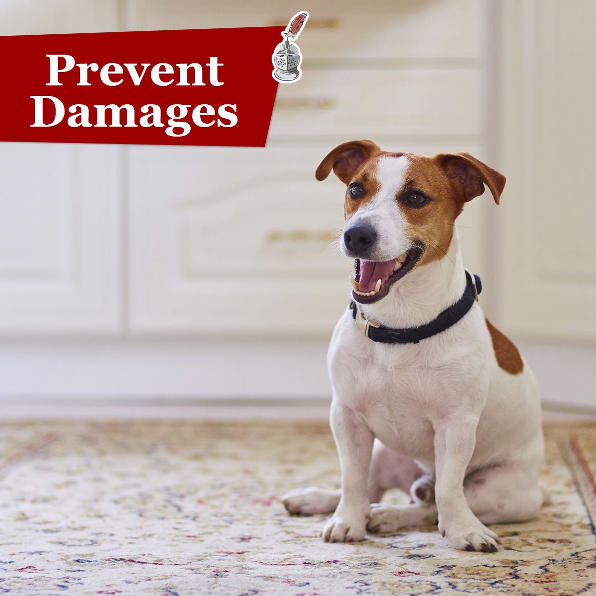 Prevent Damages